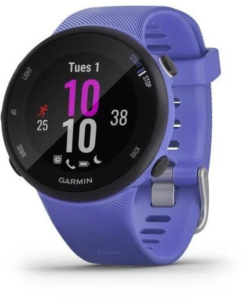 Garmin Forerunner 45S