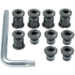 FSA Torx T-30 MTB Chainring Nut/Bolt Set