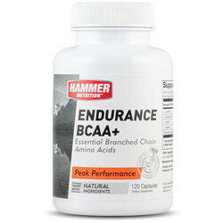 Hammer Nutrition Endurance BCAA+